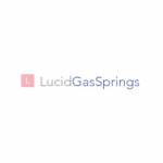 Lucid Gas springs Profile Picture