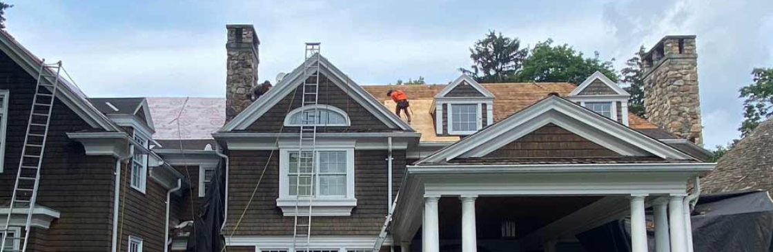 Roof Shark Cover Image