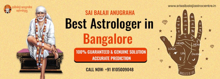Srisaibalaji Astrocentre Astrocentre Cover Image