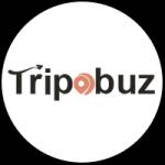 Tripo Buz Profile Picture