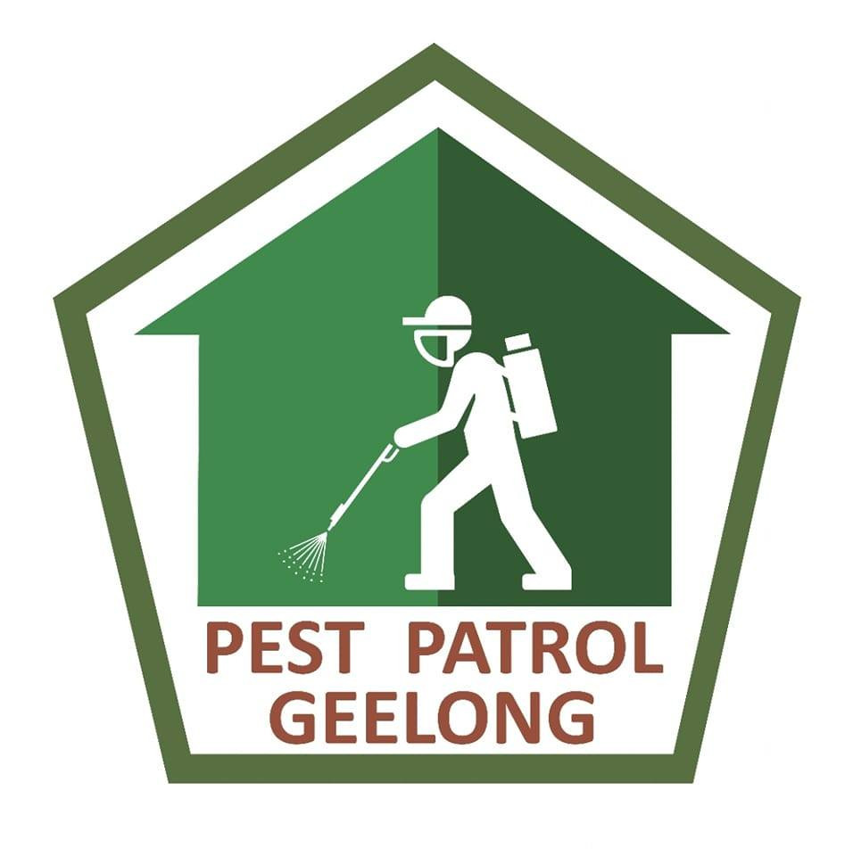 Pest Patrol Geelong Profile Picture