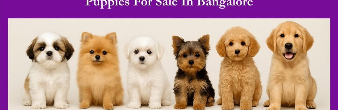 Aubree pets Cover Image