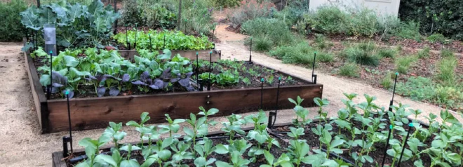 Vego Garden Cover Image