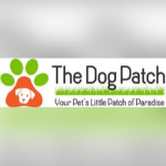 The dog Patch Patch Profile Picture