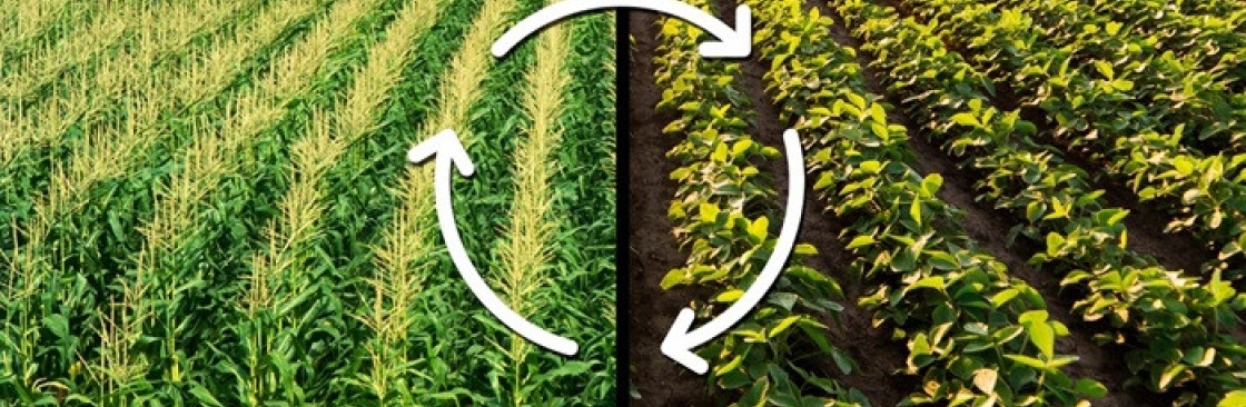 Gramiti A Trusted Place for Farmers Cover Image