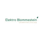 Elektro Blommestein Profile Picture