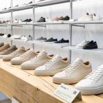 common projects dust bag Profile Picture