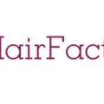 Hair Factory MA USA Profile Picture