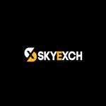 Skyexchangebr Profile Picture