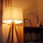 Electrician Rangville Profile Picture