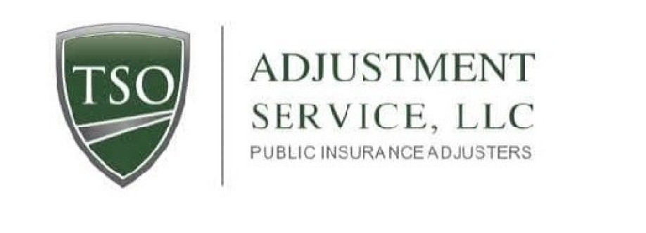 TSO Adjustment Service Cover Image