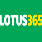 Lotusph365 Profile Picture