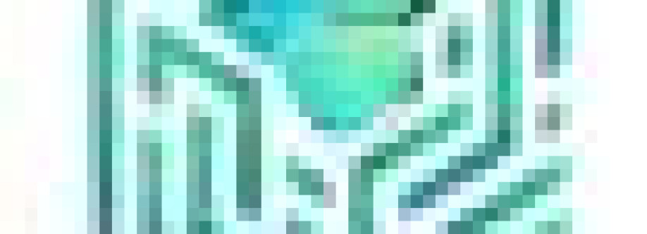 Software Pro Digital Cover Image