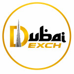 Dubai Exch 247 Profile Picture