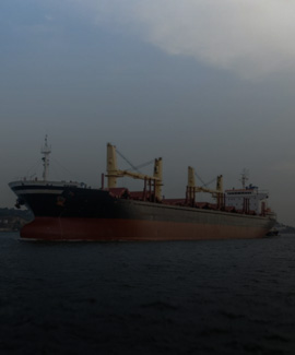 Best Import Export Company in Dubai, UAE | 050 624 0236 | Alma Cargo