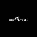 Best Ants UK Profile Picture