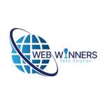 Web Winners Tech Solution Profile Picture